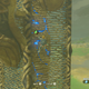 Link can climb anything in Breath of the Wild, including these towers, which help reveal the terrain and topography contained in each region of Hyrule.